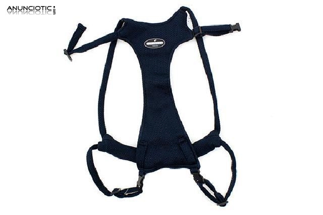 Arn&eacute;s primeros pasos olmitos