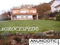 C&eacute;sped natural en rollos para Madrid. AGROCESPED: