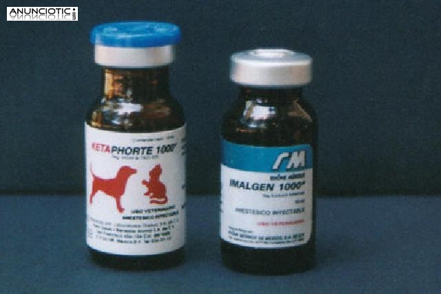 Calidad Ketamine, mdpv, mdma, mephedrone, LSD, sal de ba&ntilde;o, morfina 