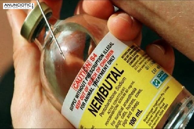 Nembutal,mefedrona, coca&iacute;na, ketamina, anfetamina
