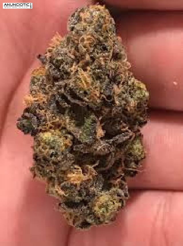 Suministramos medicamentos a cualquier lugar de manera leg&iacute;tima.