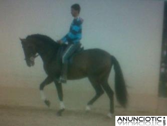 H&Iacute;PICA MART&Iacute;NEZ