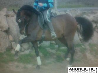 H&Iacute;PICA MART&Iacute;NEZ