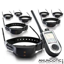 SportDog Tek 1.0 versi&oacute;n europea