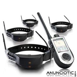 SportDog Tek 1.0 versi&oacute;n europea