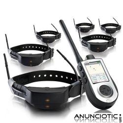 SportDog Tek 1.0 versi&oacute;n europea