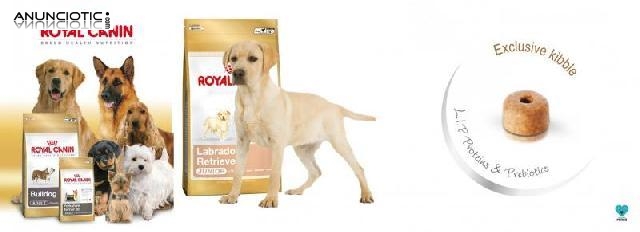 Promoci&oacute;n royal canin mes de julio nuestroperro