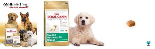 Promoci&oacute;n royal canin mes de julio nuestroperro