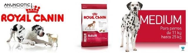 Promoci&oacute;n royal canin medium adult 43 ?