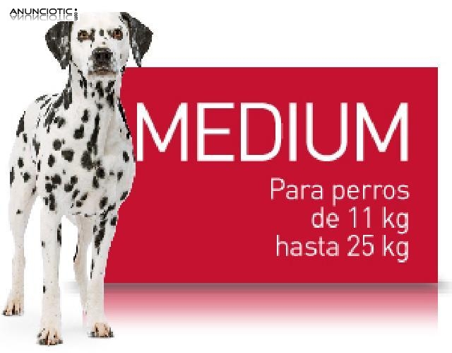 Promoci&oacute;n royal canin medium adult 43 ?