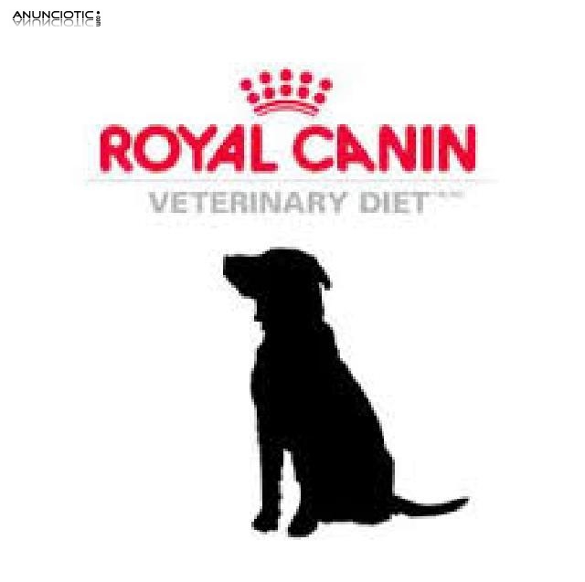 Promoci&oacute;n royal cani en madrid 15 kg 42 euros