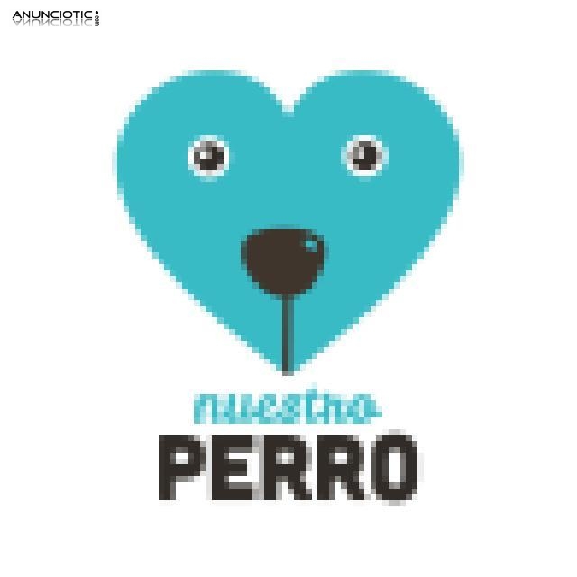 Promoci&oacute;n royal cani en madrid 15 kg 42 euros