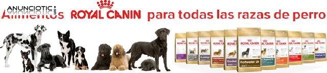 Royal canin, buldog, golden, labrador 12 kg 43?