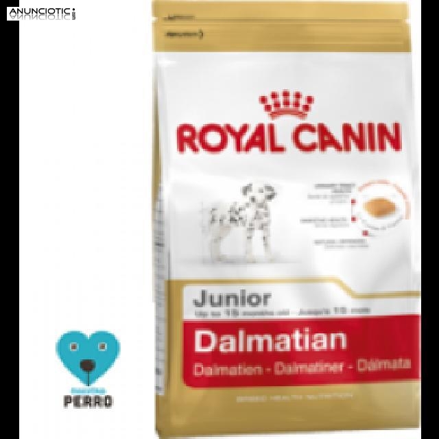Promoci&oacute;n royal canin razas dalmata 12 kg 43?