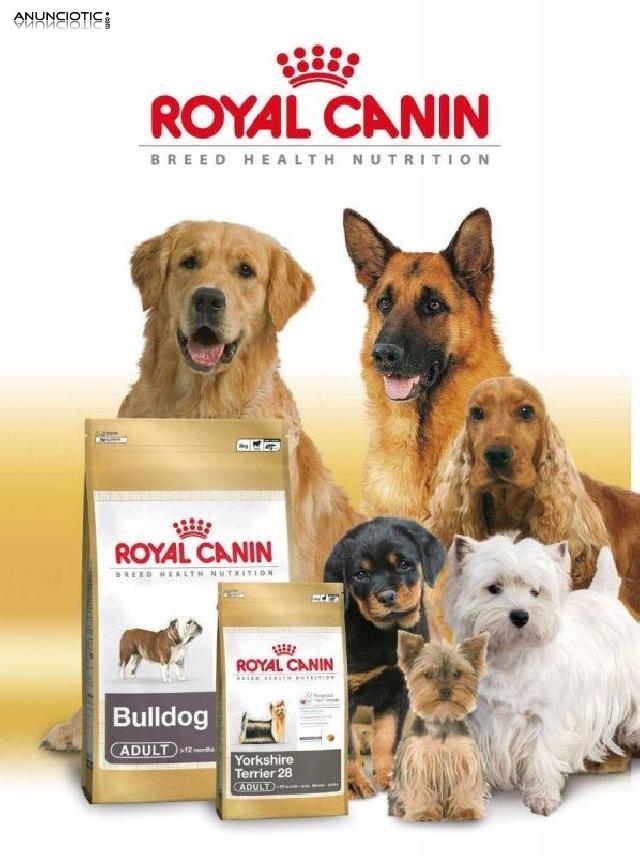 Promoci&oacute;n royal canin razas dalmata 12 kg 43?