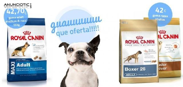 Promoci&oacute;n royal canin razas 12 kg 43?