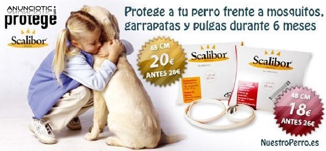 Scalibor collar liquidaci&oacute;n