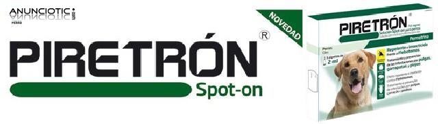 Piretr&oacute;n perros de mas de 15 kg