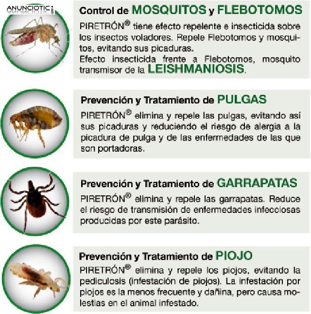 Piretr&oacute;n perros de mas de 15 kg