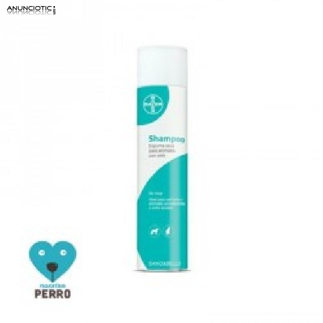 Champ&uacute; bayer lavado en seco 300 ml