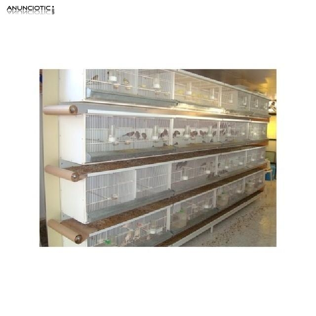 Papel para jaulas y jaulones rollos 