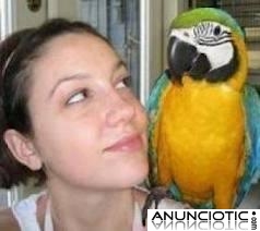 Loros beb&eacute; y huevos f&eacute;rtiles para nacer 