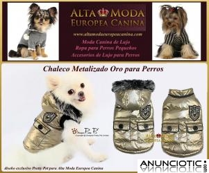 Ofertas en Ropa para Perros, moda canina rebajas