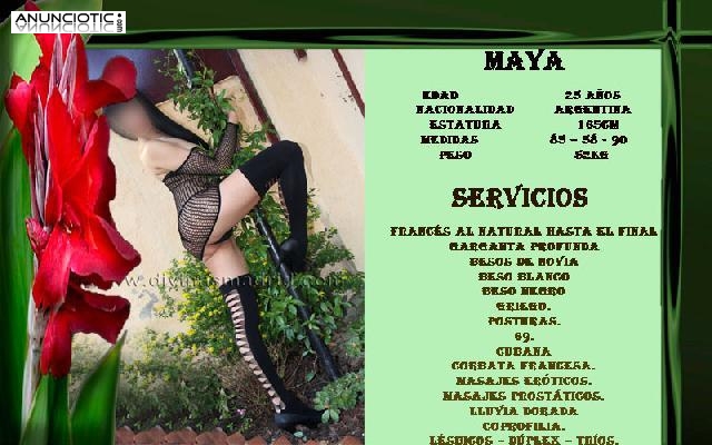 MAYA ES UNA CHIQUITA DULCE Y MIMOSA Y  TODO IMPLICACI&Oacute;N  QUE TE COMERA ENTE