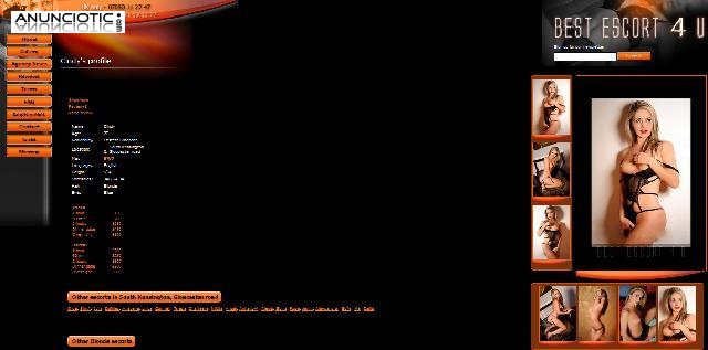 &iquest;NO TIENES PAGINA WEB?