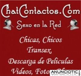 ChatContactos.com Sexo en la Red