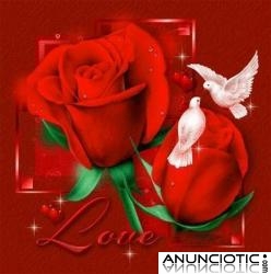 Chalet de contactos,necesita se&ntilde;oritas entre 18 y 35 a&ntilde;os, guapas,sin tab&uacute;es, y con ganas 