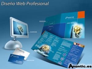 DISE&Ntilde;O PROFESIONAL DE P&Aacute;GINAS WEB