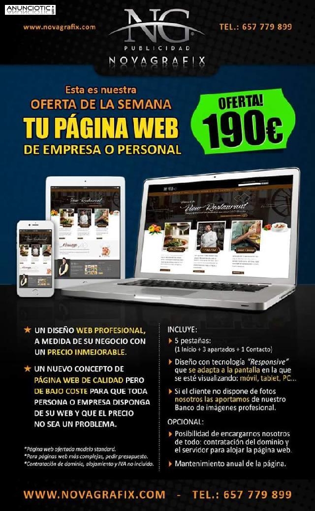 Dise&ntilde;o pagina web