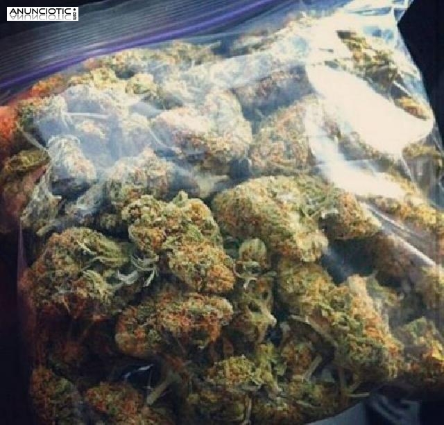 I�M A MEDICAL MARIJUANA GROWER AND WHOLESALE SUPPLIER. I DO LOTS OFTel: (75
