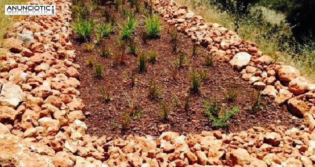 Construccion de lagunas naturales en Madrid