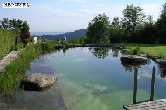 Construccion de piscinas ecol&oacute;gicos  en Madrid
