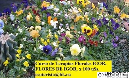 CURSO DE TERAPIAS FLORALES (Flores de Igor), (Con t&eacute;cnicas esot&eacute;ricas, en 40 lecciones).  