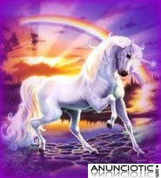 videncia economica 0,42 � min