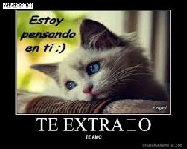 Recomiendo vidente buen&iacute;sima,merece la pena hablar con ella