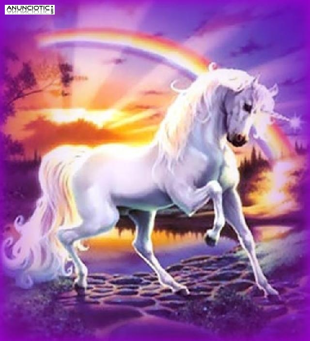 videncia economica 0,42 � min