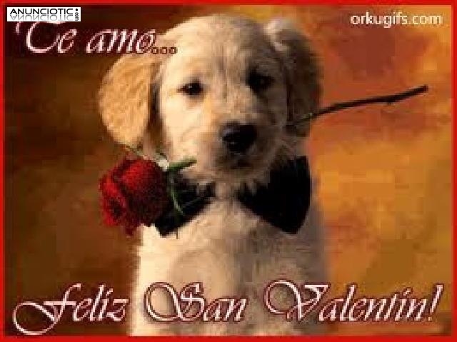 Tarot Amor San Valent&iacute;n