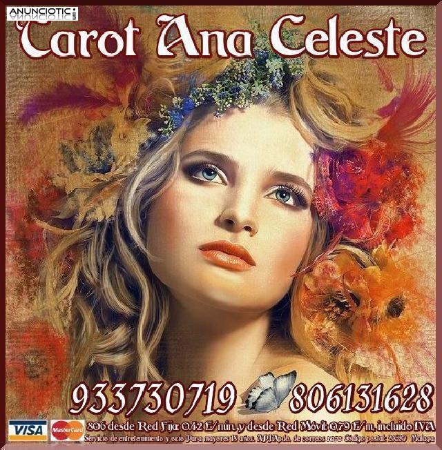 Tarot Ana Celeste Visa Economica  7�/15m*****