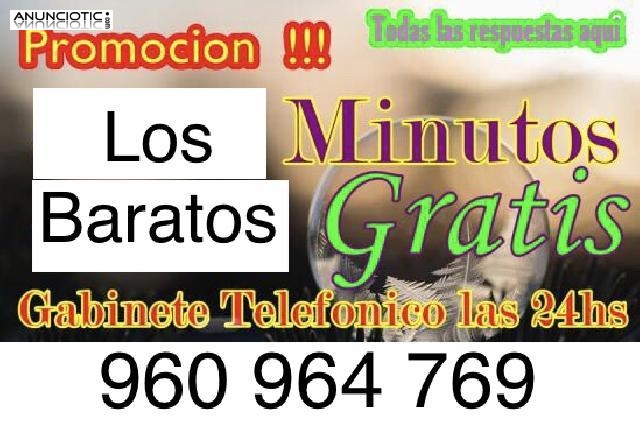 Vidente de nacimiento tarotista profesional sin gabinete barata l&iacute;nea 806