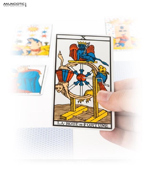 Mi Hor&oacute;scopo Diario Capricornio, Tarot Del Girasol Futuro Inmediato En El Amor