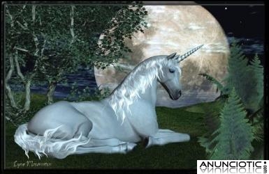 Sra. Rosa M&ordf; Lago  Vidente, experta en problemas  legales y de pareja