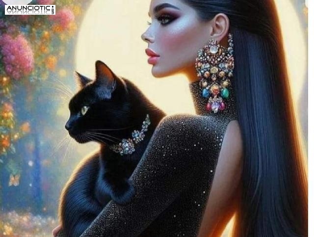 TAROT LA DAMA DE CORAZONES VIDENTE ESPA&Ntilde;OLAS SIN GABINETES 