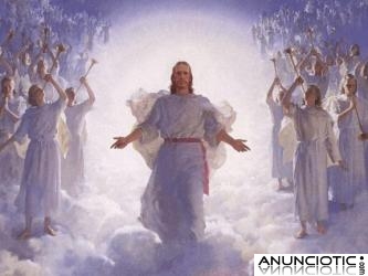 EL TAROT DE SELENA LUZ. Medium Clarividente. No gabinete. Tel&eacute;fonos fijo y m&oacute;vil