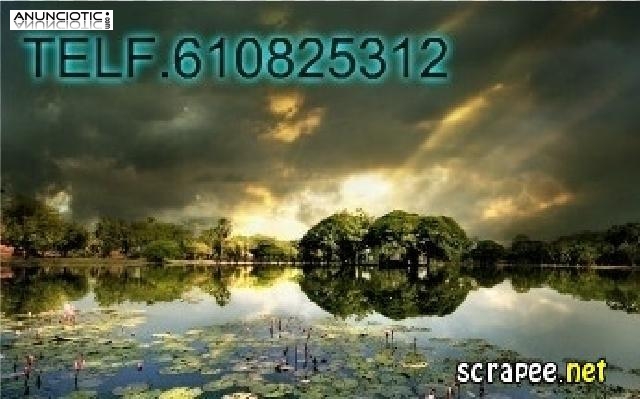 PROFESOR DE TAROT. CURACI&Oacute;N.