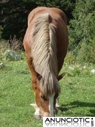 T&uacute; eres PROTAGONISTA - Psicolog&iacute;a de la Vida Diaria