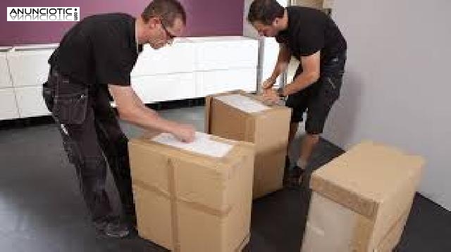 mudanzas economicas,profesionales espa&ntilde;oles